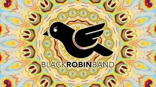 Black Robin Band - Covering Sultans Of Swing