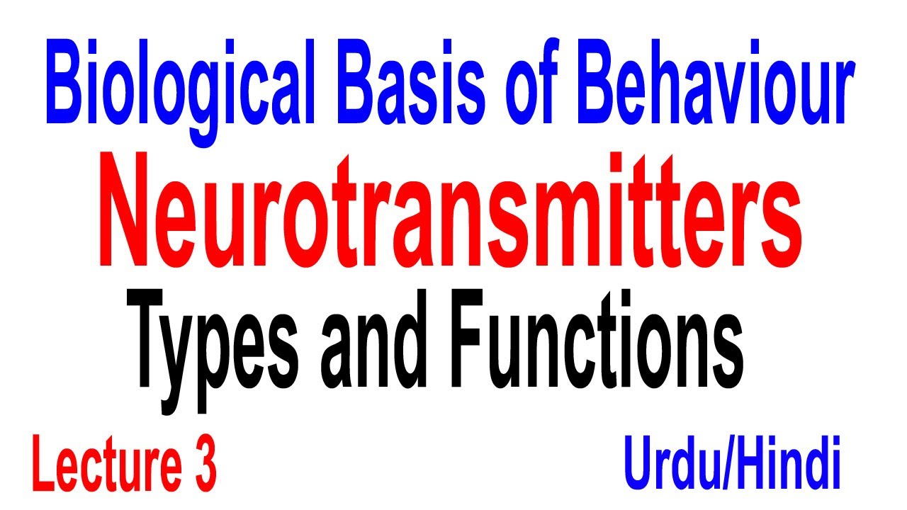 Working of Neurotransmitters | Physiology Lecture 3 | PPSC Preparation Lecture 18 | Urdu/Hindi