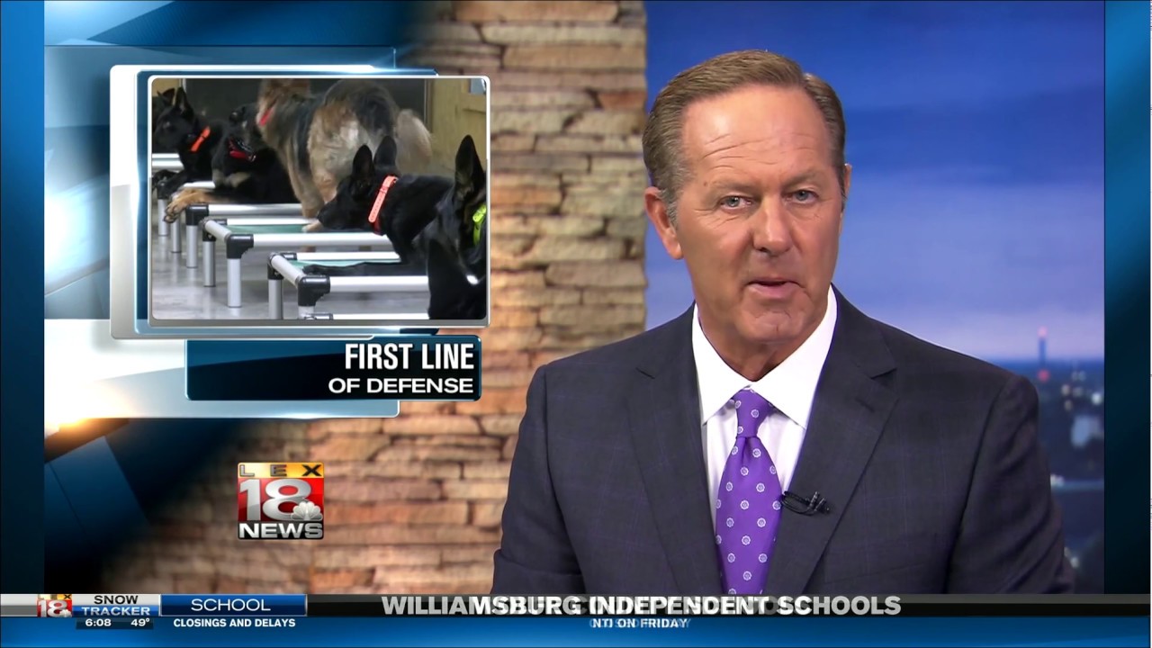 recent ipos Media Coverage Of Protection Dog Sales Elite Personal 