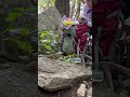 #설악산 #다람쥐 #귀여워요^^