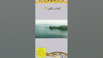 #غذاء_القلوب ♥︎ | القارئ: زايد ال عطية