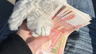 арбитраж трафика с нуля ,обучение