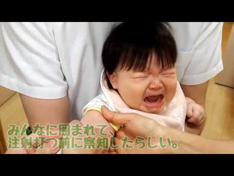 4種混合注射で大泣き 察知して泣いてしまう Youtube 4種混合注射で大泣き 察知して泣いてしまう Youtube