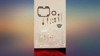 All Balls Carburetor Repair Kit 26-1312 Yamaha TTR125 2000-2005 review