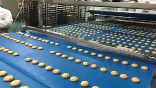 Large Output Production Cookie Biscuit Production Line Conveyor