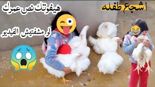 شوفوا ايه اللي حصل لما سبت بنتي مع الفراخ لوحدها كارثه