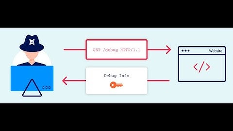 Information disclosure in error messages (Video Solution) | 2020