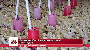 Cảnh báo khả năng lây lan virus H5N1 ở người | VTV24