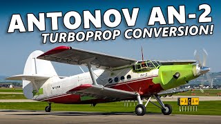 WORLD'S LARGEST SINGLE-ENGINE BIPLANE! Antonov An-2 at Springbank Airport