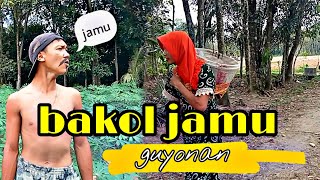 bakol jamu _guyonan ngakak
