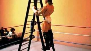 SCW:Triple threat Ladder match