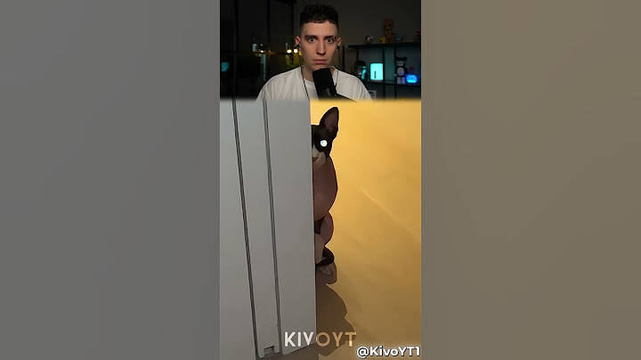 КОТЫ НЕ СТРАШНЫЕ, НО ПОСЛЕДНИЙ💀💀💀 #Shorts #Глент