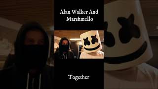 @Alanwalkermusic  and @marshmello  #Shorts #trending #tiktokviral #alanwalker #edit
