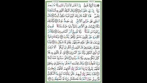 سورة يوسف الصفحة ٢٤٢