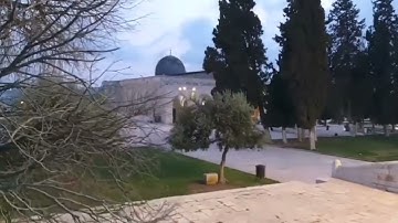 وَيَضِيقُ صَدْرِي وَلَا يَنطَلِقُ لِسَانِي فَأَرْسِلْ إِلَىٰ هَارُونَ | القارئ اسلام صبحي