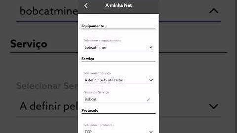 Quick Fix Relayed Status on Bobcat Miner 300 Helium Network (NOS Portugal)