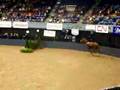 Maclay finals  maria schaub rnd 2