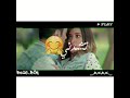 جوايا حاجه حالات واتس آب