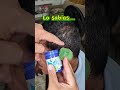 Pon orrgano en tu oido