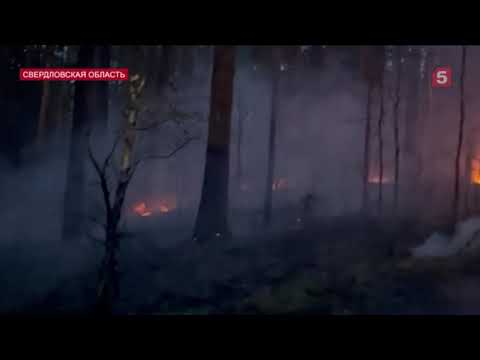 Жители деревни под Екатеринбургом едва спасли свои дома от лесного пожара