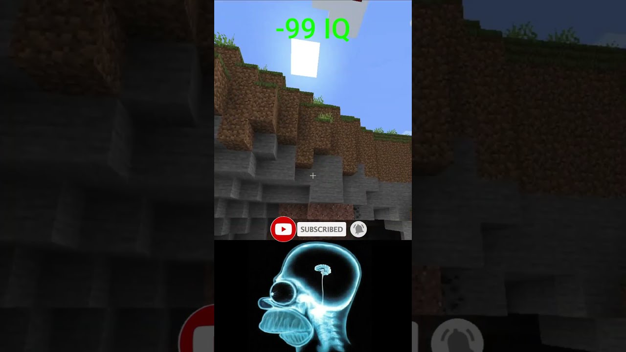  6923 IQ Vs 6969 Minecraft World S Smallest Violin Shorts Memes