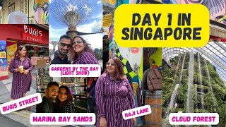 Day 1 in Singapore VLOG: Gardens by the Bay, Chinatown, Bugis St, Drinks at Marina Bay Sands & more!