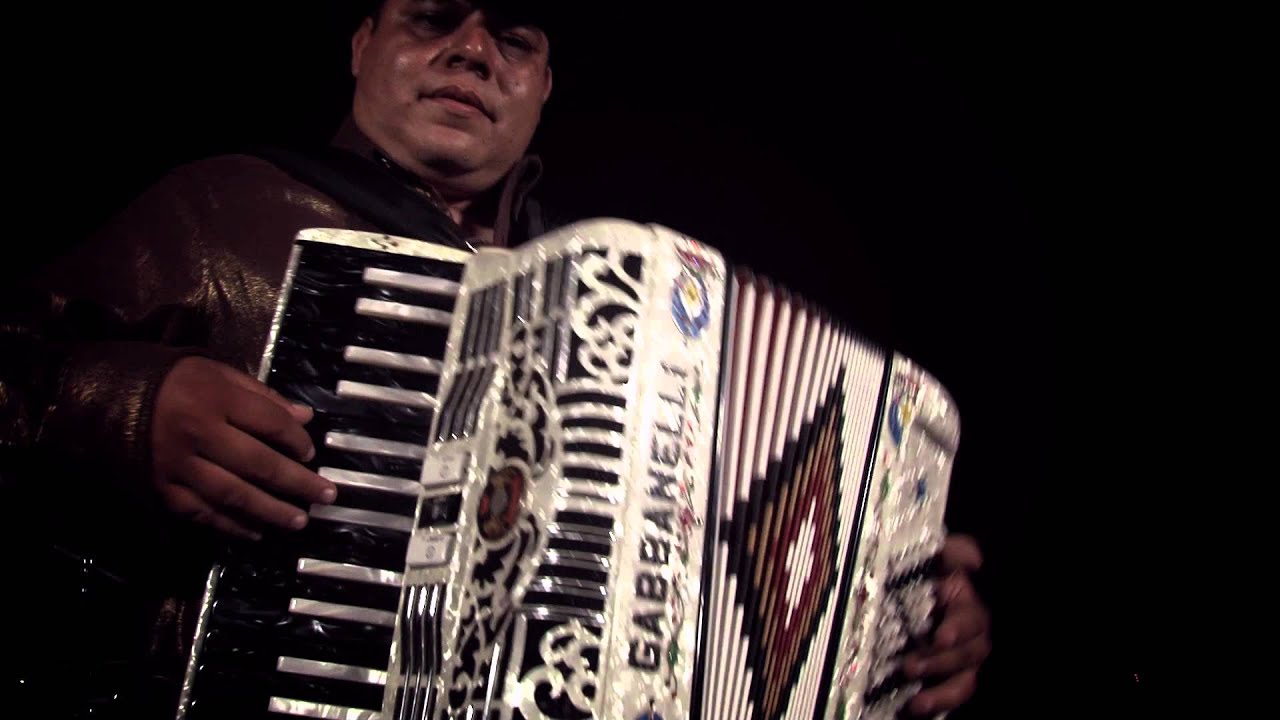 Renovado Colmillo Norteño - Los elementos Oficial