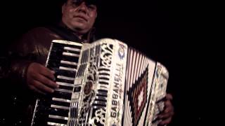 Renovado Colmillo Norteño - Los elementos Oficial