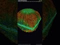 Crystal (Morphology) — 3D Crystal Growth #Shorts