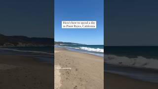 Day in Point Reyes, California (details in description) #california #pointreyes #californiacoast