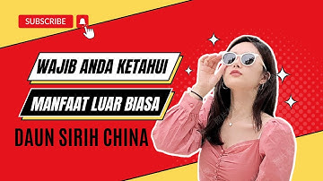Wajib Anda Ketahui, Manfaat Luar Biasa Dari Daun Sirih Cina