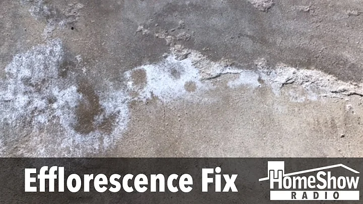 What can I do to stop efflorescence from eating my garage floor?