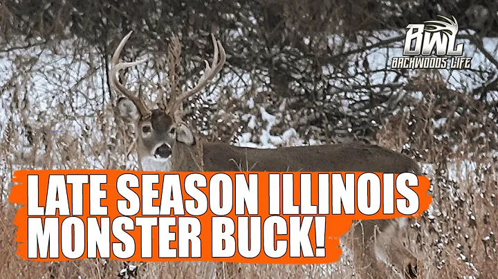 LATE SEASON ILLINOIS MONSTER BUCK