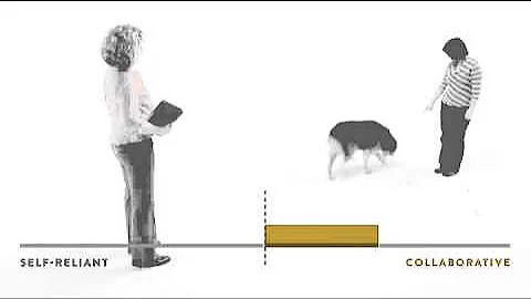 Dognition Sample Game: Arm Pointing