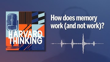 Harvard Thinking: How does memory work (and not work)?