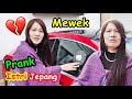 ISTRI JEPANG AUTO MEWEK❗KACA MOBILNYA PECAH