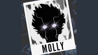 Molly - Guitar Remix