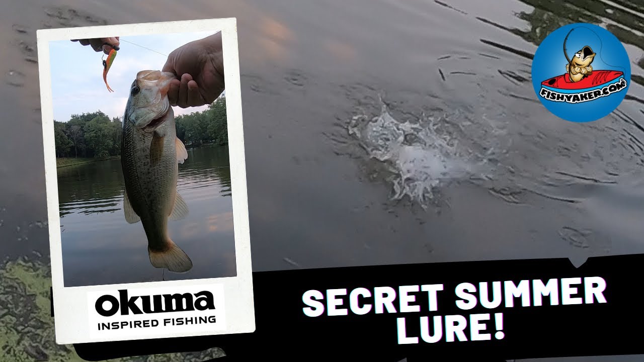 Secret Summer Pond Bass Fishing Lure! #fishing #bassfishing #largemouth