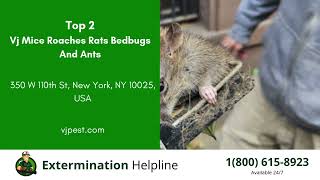 Top 3 Exterminators in Miramar