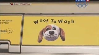 Британцы научили собак управлять стиральной машиной