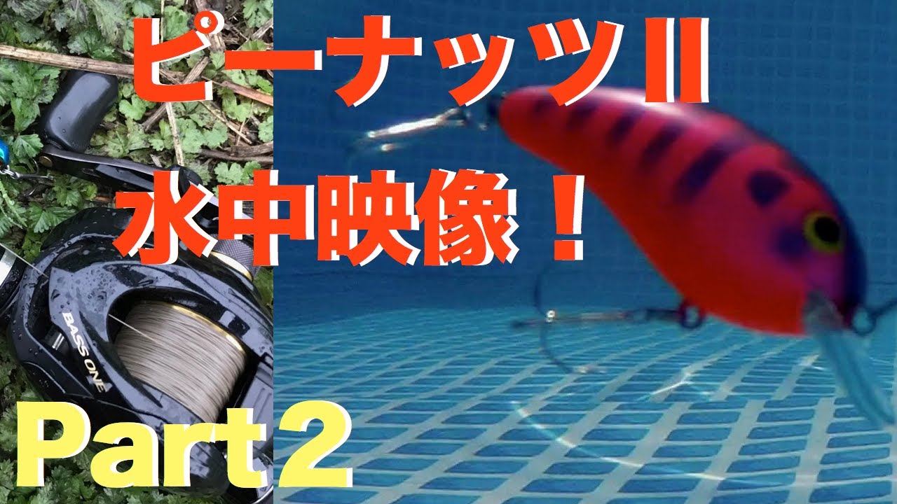 水中映像 ピーナッツ 巨大プールで水中映像撮ってみた Part２ ダイワ Youtube