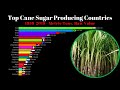 Top Cane Sugar Producing Countries in the World 1959-2019 | Cane Sugar | Data Visualization