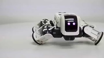 rero Tutorial 3 - Tortoise Robot