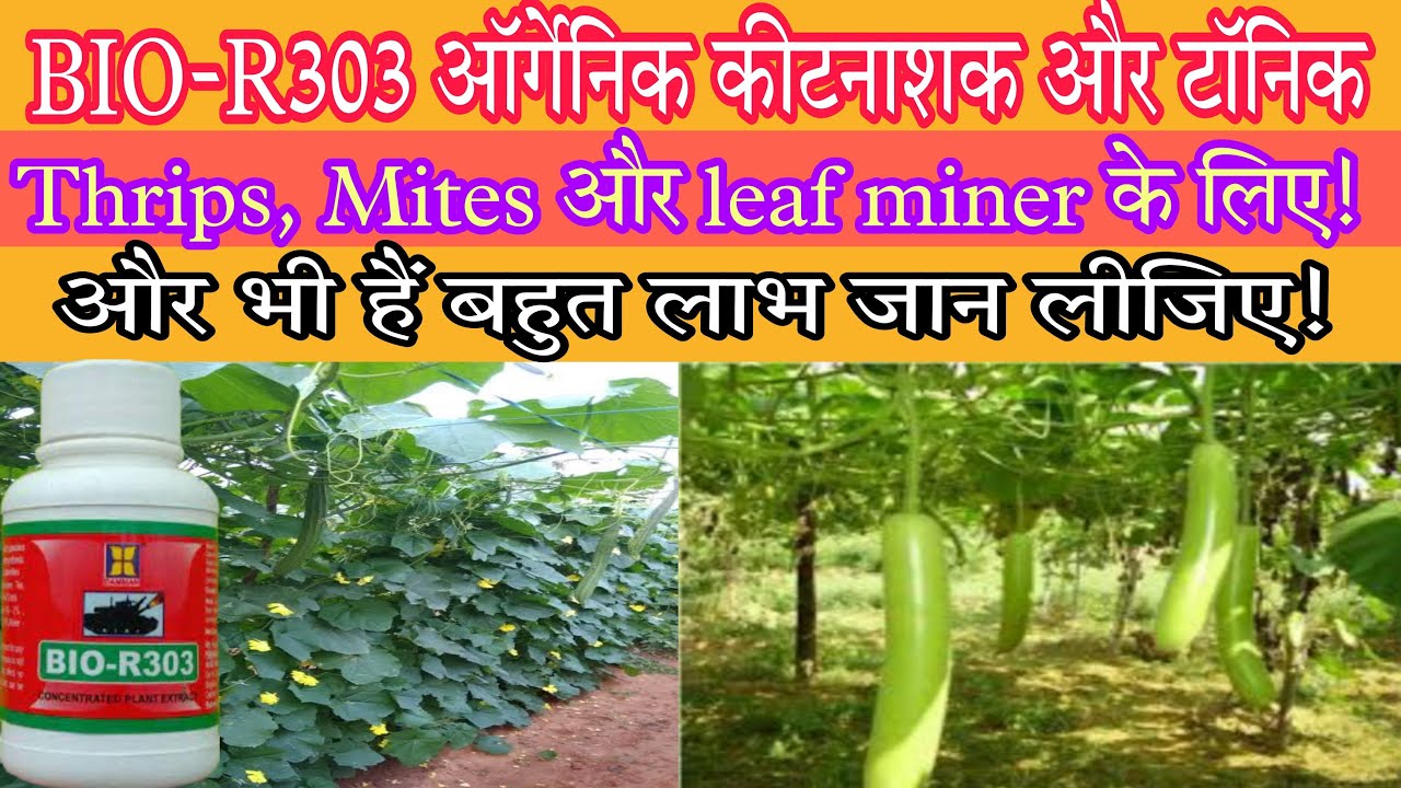 bio-r303 जैविक खेती के लिए जबरदस्त। कीटों की रोकथाम के साथ-साथ जबरदस्त ...