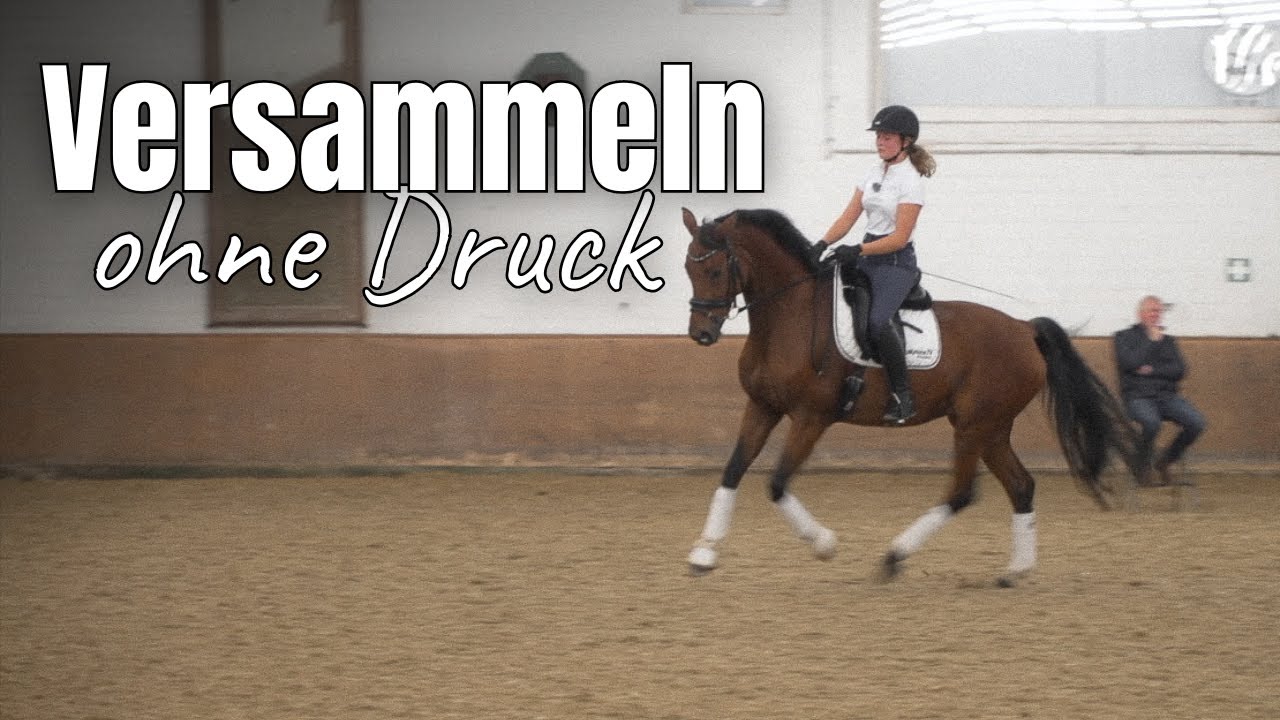 Versammlung ohne Druck - so geht's spielerisch! 💪🏻