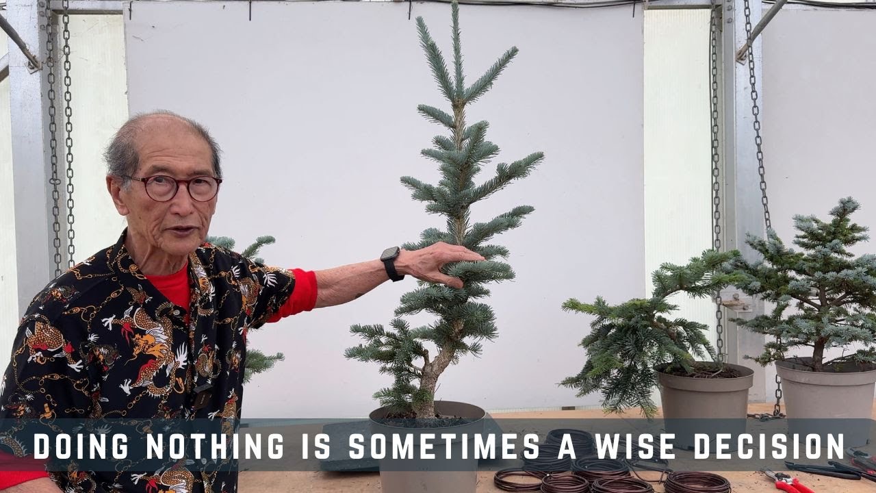 Иногда ничегонеделание — мудрое решение