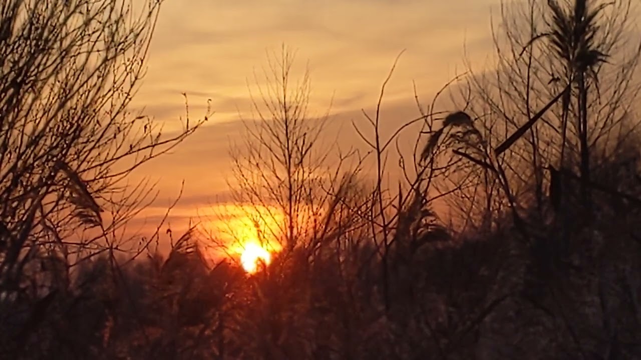 17.11.2024 SunSet. ЗаХід Сонця. Закат Солнца /Ukraine/