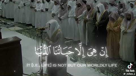 القران الكريم 