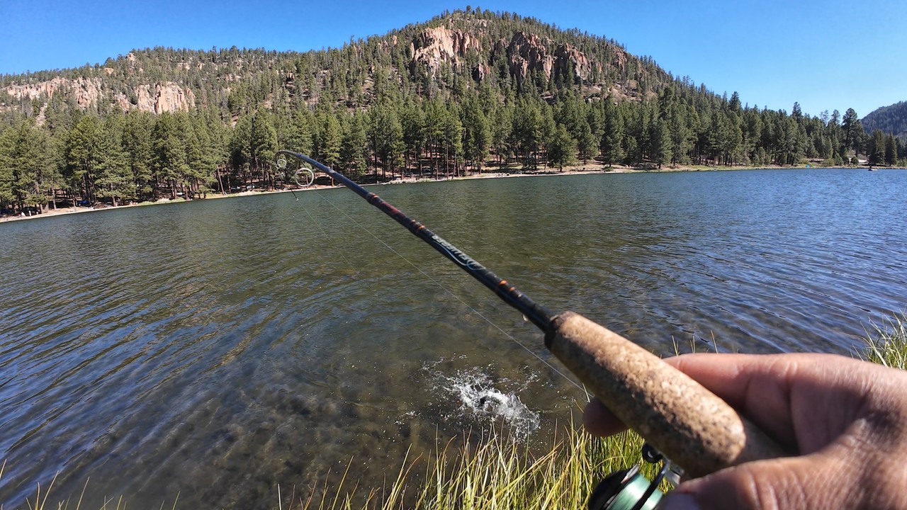 Fenton Lake Was On FIRE! | Rainbow & Brown Trout Fishing in New Mexico