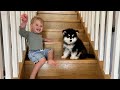 Adorable baby boy and puppy learn to climb stairs for first time cutest ever